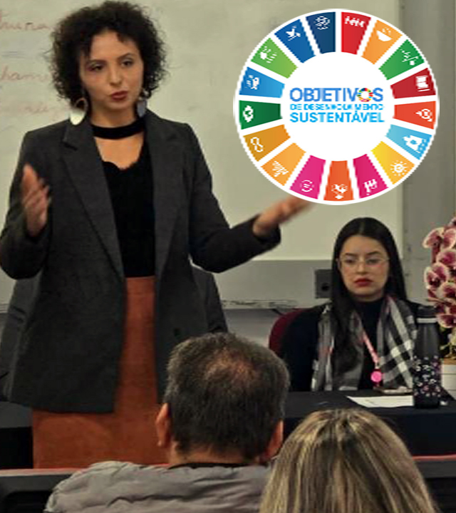 Controladoria realiza capacitação sobre ODS 18 com representante da ONU
